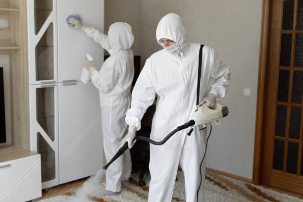 Best Mold Removal Process  in Ottawa, IL