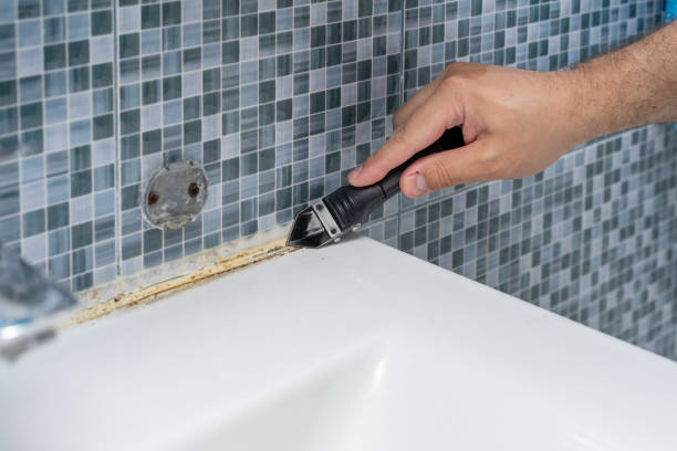 Trusted Ottawa, IL Mold Removal Experts